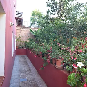 La Casa De Las Flores , Tacoronte España